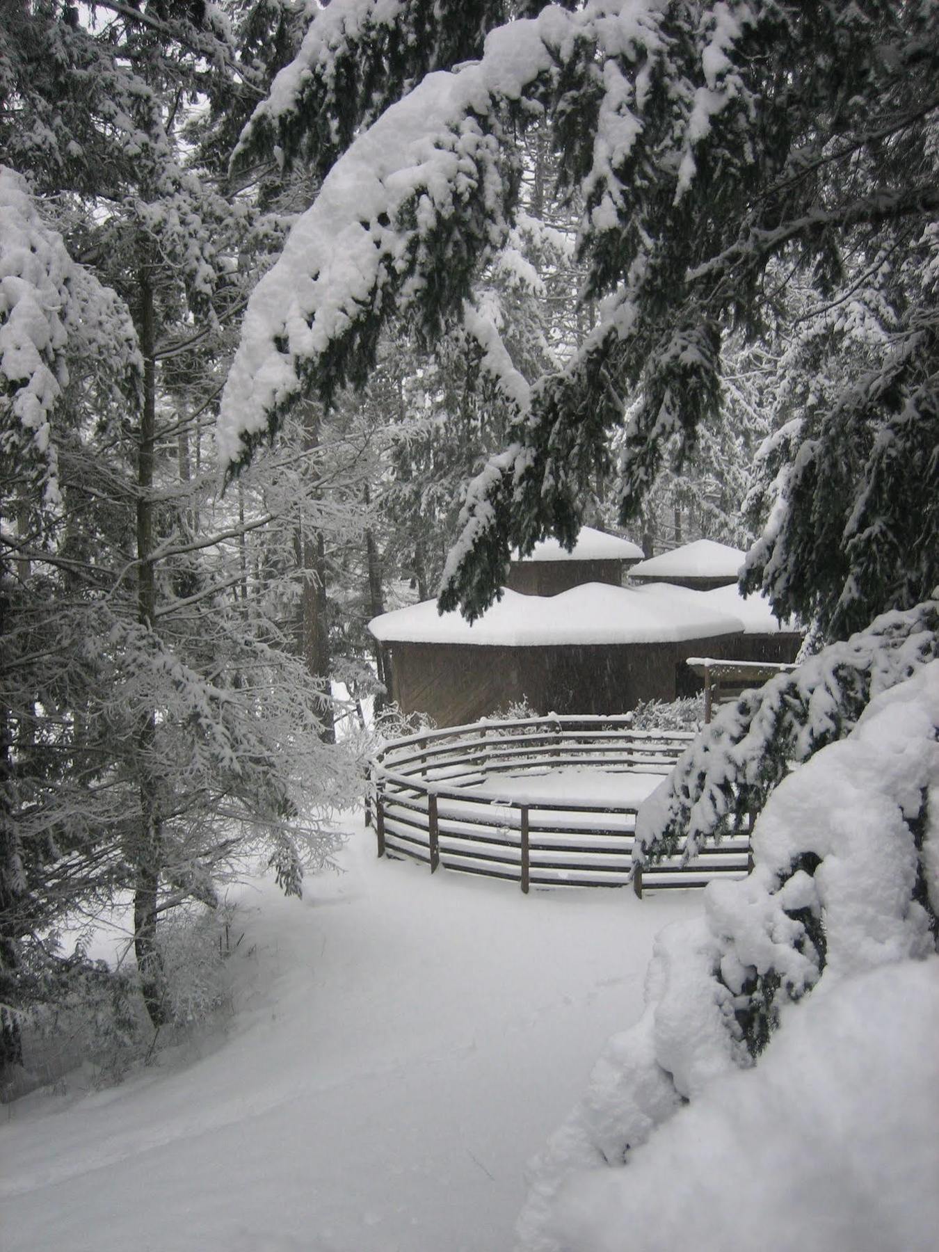 Misty Meadows B&B Langford Eksteriør bilde